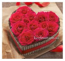 The heart 